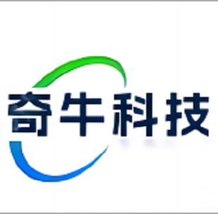 从计算机系统服务到人工智能 现代信息技术服务体系的全面解析